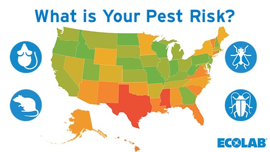 What is your pest risk?