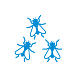 Small flies icon.